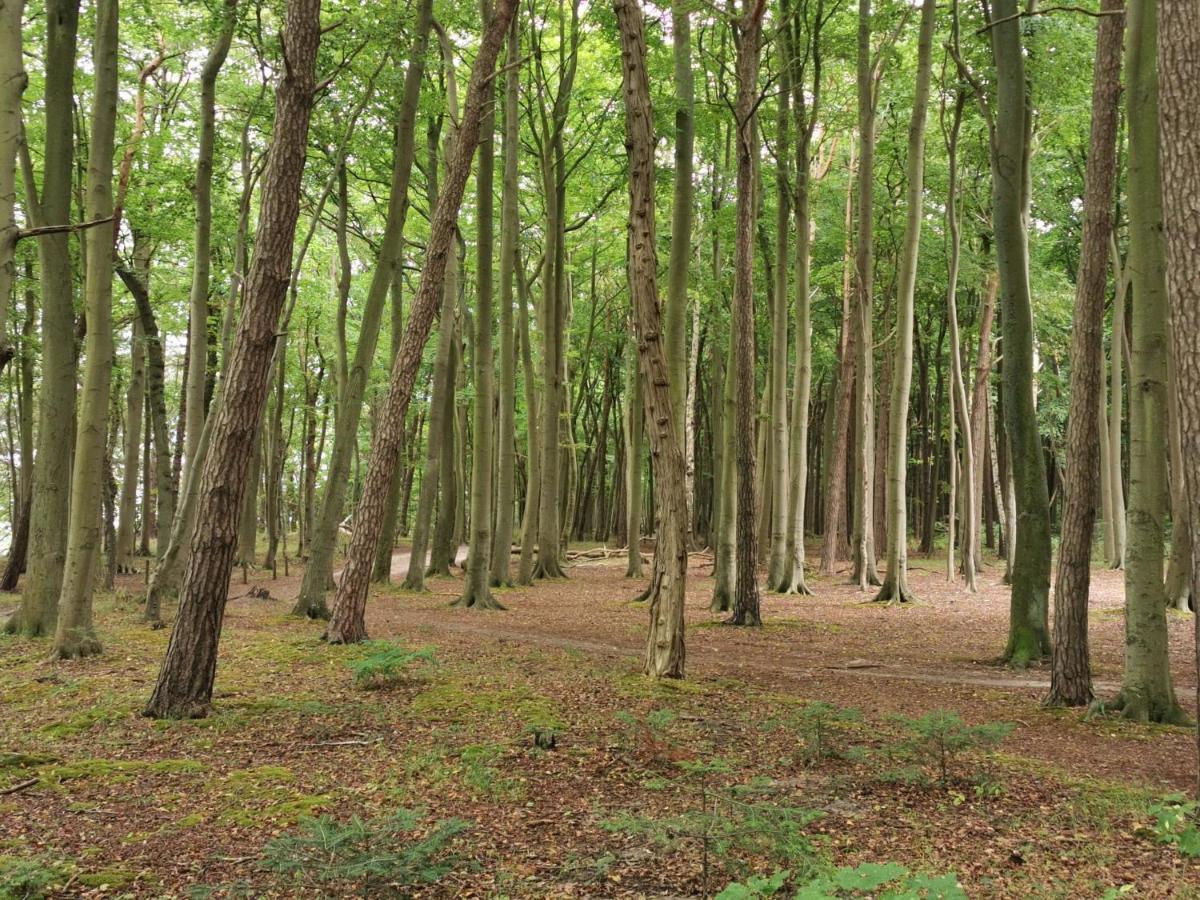 Ferienhaeuschen Kuestenwald Bei Warnemuende, Eigener Garten, Terrasse Mit Strandkorb, 400M Zum Strand Diedrichshagen  Bagian luar foto